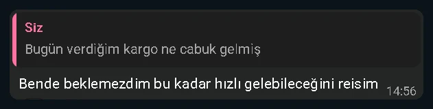 Ben de beklemezdim bu kadar hızlı gelebileceğini.